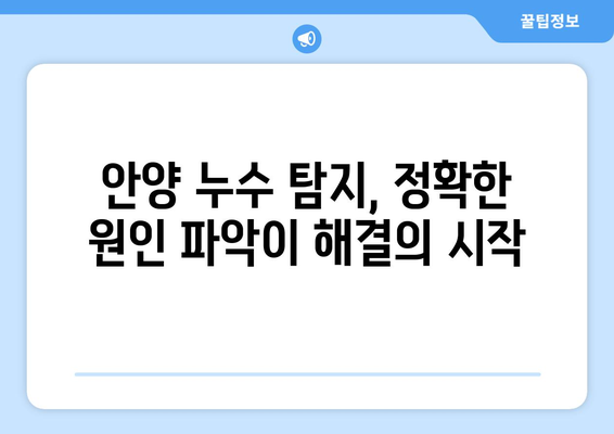 안양 누수 탐지| 전조 증상부터 시공 과정까지 완벽 가이드 | 누수, 탐지, 해결, 안양, 전문가